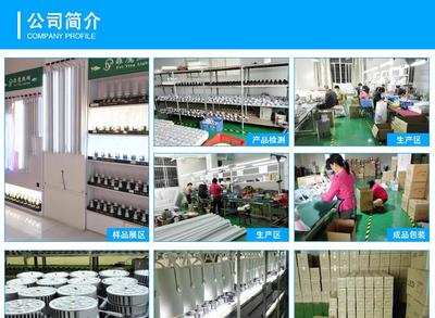 【热销爆款 仓库led工矿灯 两年保质 菜肉市场贴片led生鲜灯猪肉灯 LED猪肉灯】价格_厂家_图片 -